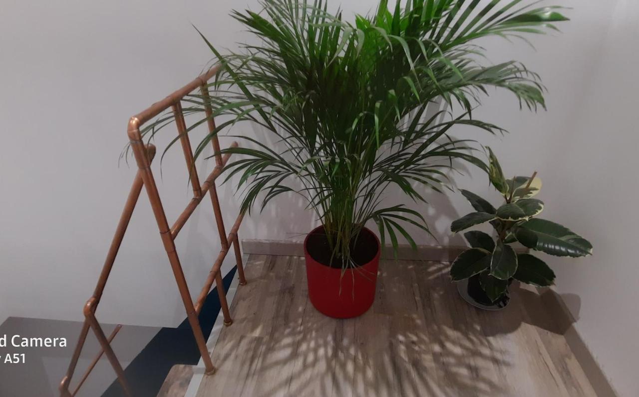 Nuit Insolite-Room Love Saint-Germain  Εξωτερικό φωτογραφία